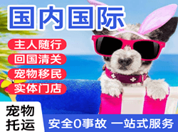 牡丹江国际宠物托运 【国